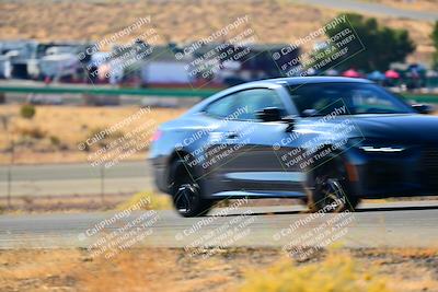 media/Nov-16-2024-Extreme Speed (Sat) [[6587d07cc4]]/Purple Group/Session 1 (Turn 2)/